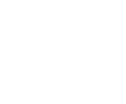 Logotyp Ethno